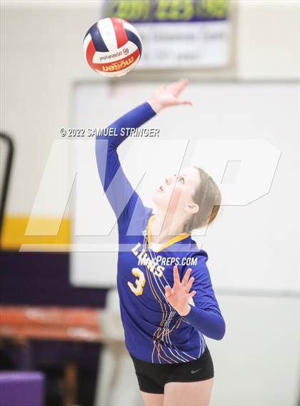 Thumbnail 3 in Linden @ Bret Harte photogallery.