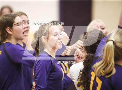 Thumbnail 2 in Linden @ Bret Harte photogallery.