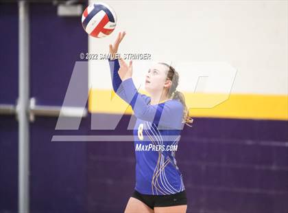 Thumbnail 2 in Linden @ Bret Harte photogallery.