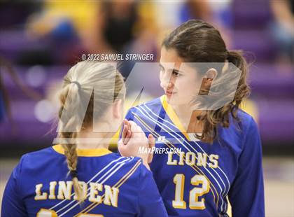Thumbnail 3 in Linden @ Bret Harte photogallery.