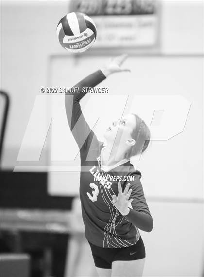 Thumbnail 1 in Linden @ Bret Harte photogallery.
