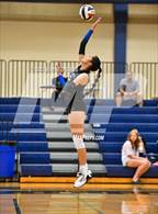 Photo from the gallery "Pleasant Grove @ Spring Hill"