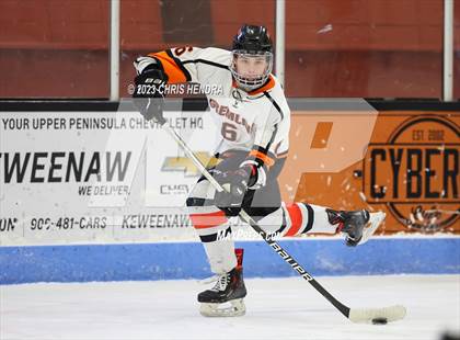 Thumbnail 3 in Trenton @ Houghton photogallery.