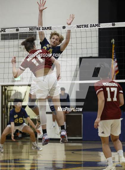Thumbnail 1 in Alemany @ Notre Dame (SO) photogallery.