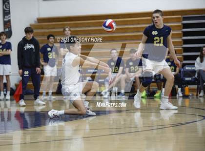 Thumbnail 1 in Alemany @ Notre Dame (SO) photogallery.