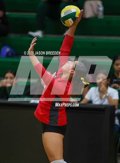 Thumbnail 3 in JV: Pioneer @ Rowe photogallery.