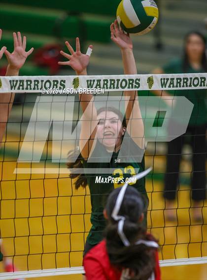 Thumbnail 3 in JV: Pioneer @ Rowe photogallery.