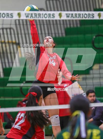 Thumbnail 1 in JV: Pioneer @ Rowe photogallery.