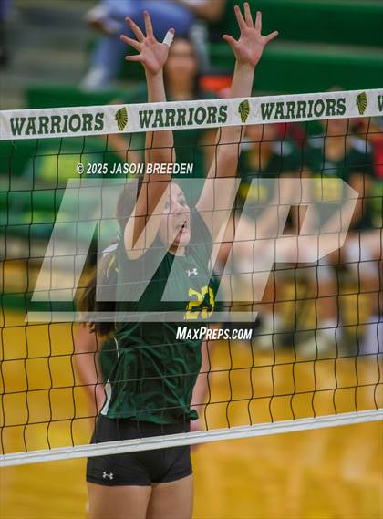 Thumbnail 1 in JV: Pioneer @ Rowe photogallery.