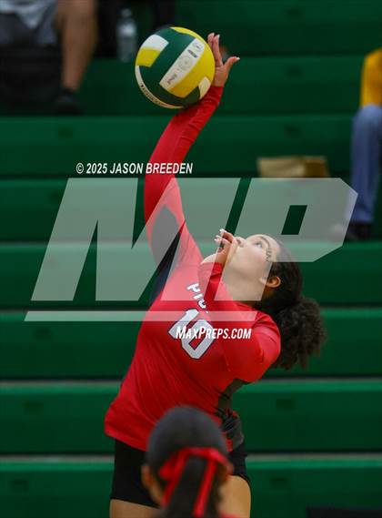 Thumbnail 1 in JV: Pioneer @ Rowe photogallery.