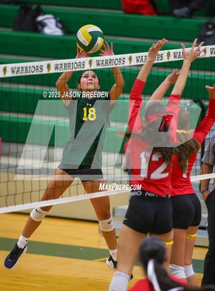 Thumbnail 2 in JV: Pioneer @ Rowe photogallery.