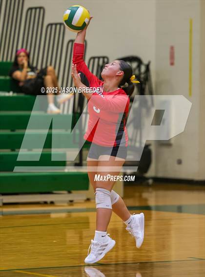 Thumbnail 3 in JV: Pioneer @ Rowe photogallery.