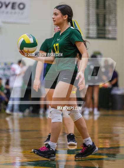 Thumbnail 2 in JV: Pioneer @ Rowe photogallery.