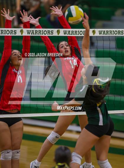 Thumbnail 3 in JV: Pioneer @ Rowe photogallery.