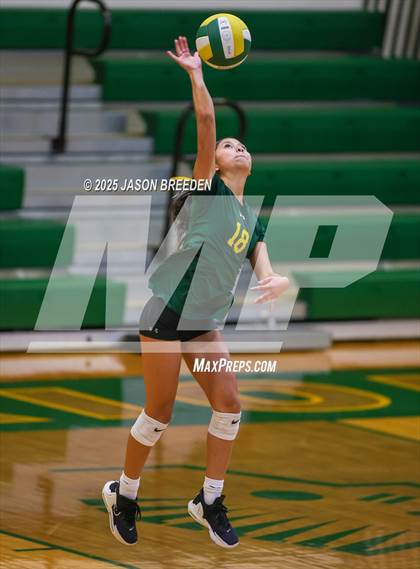 Thumbnail 1 in JV: Pioneer @ Rowe photogallery.