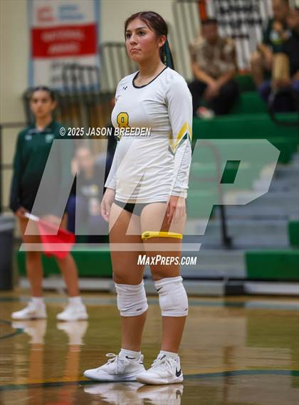 Thumbnail 1 in JV: Pioneer @ Rowe photogallery.