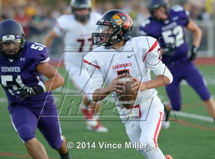 Thumbnail 1 in Sumner vs. Franklin Pierce  photogallery.
