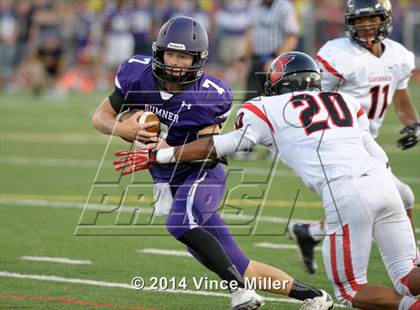 Thumbnail 3 in Sumner vs. Franklin Pierce  photogallery.
