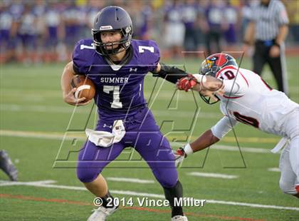 Thumbnail 1 in Sumner vs. Franklin Pierce  photogallery.