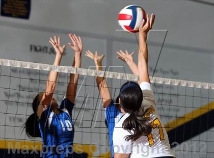 Thumbnail 1 in Pflugerville @ Stony Point photogallery.