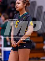 Photo from the gallery "E.E. Smith @ Pine Forest"