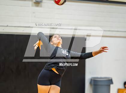 Thumbnail 1 in FR: Milby @ Galena Park photogallery.