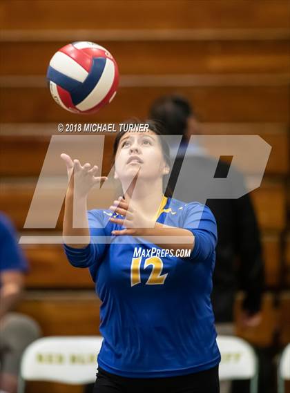 Thumbnail 1 in Hamilton vs. Quincy (NSCIF D5 Final) photogallery.