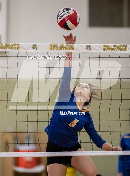 Thumbnail 3 in Hamilton vs. Quincy (NSCIF D5 Final) photogallery.