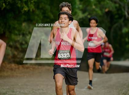 Thumbnail 3 in JV: Channel League Cross Country Championships photogallery.