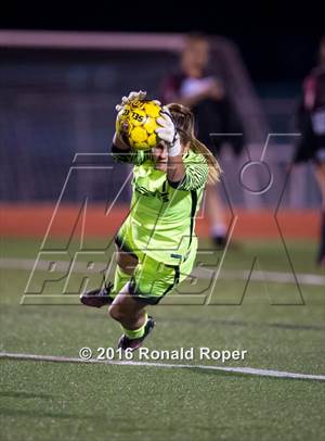 Saturday, Jan 30, 2016