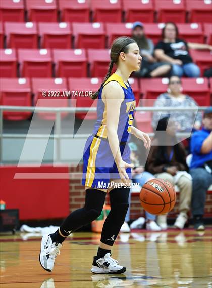 Thumbnail 2 in Venus @ Mineral Wells photogallery.
