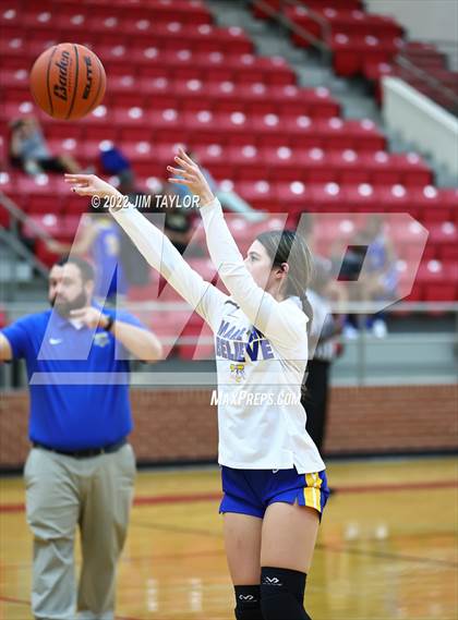 Thumbnail 2 in Venus @ Mineral Wells photogallery.
