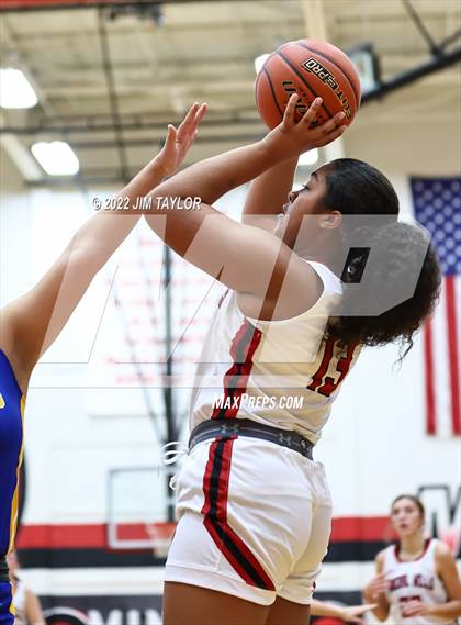 Thumbnail 1 in Venus @ Mineral Wells photogallery.