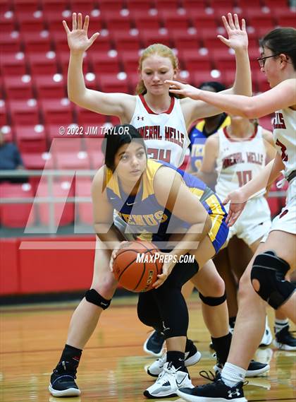 Thumbnail 2 in Venus @ Mineral Wells photogallery.