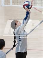 Photo from the gallery "Elsie Allen @ Rancho Cotate (NorCal Invitational)"