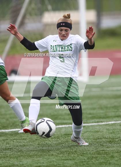 Thumbnail 1 in Delta vs Peak to Peak (CHSAA 3A 1st Round) photogallery.