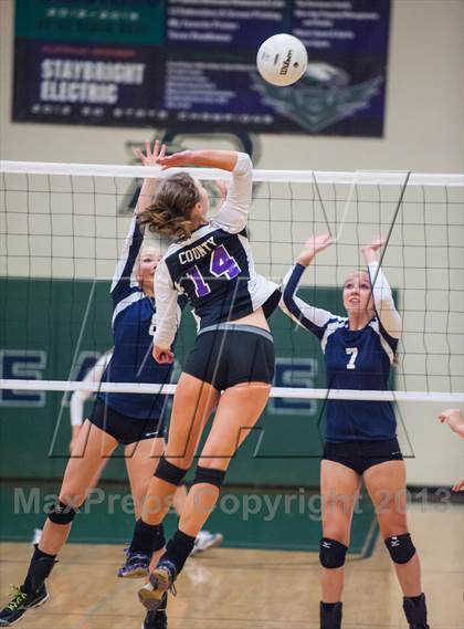 Thumbnail 3 in Douglas County @ Pine Creek (CHSAA 5A Regionals - Region 12) photogallery.