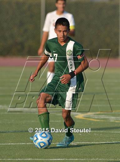 null - Photo 11