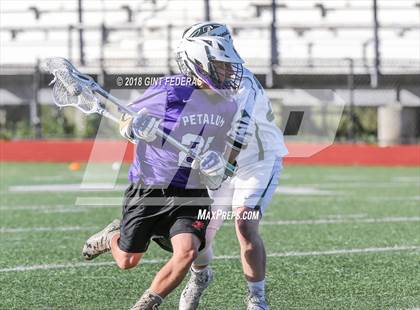 Thumbnail 3 in Petaluma vs. Miramonte (NCS D2 Quarterfinal) photogallery.
