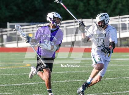 Thumbnail 3 in Petaluma vs. Miramonte (NCS D2 Quarterfinal) photogallery.