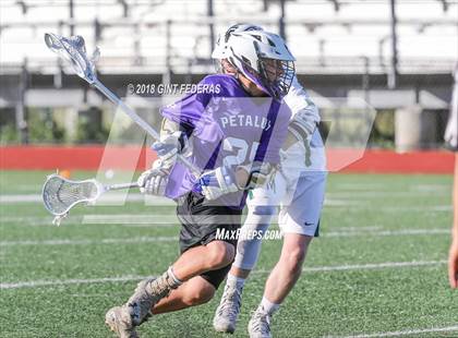 Thumbnail 1 in Petaluma vs. Miramonte (NCS D2 Quarterfinal) photogallery.