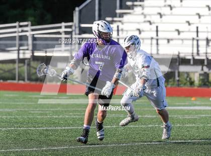Thumbnail 3 in Petaluma vs. Miramonte (NCS D2 Quarterfinal) photogallery.