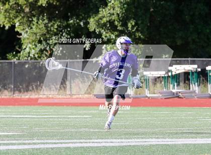 Thumbnail 1 in Petaluma vs. Miramonte (NCS D2 Quarterfinal) photogallery.