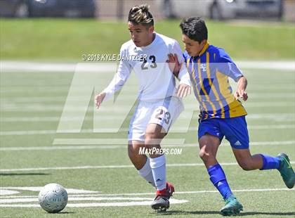Thumbnail 1 in San Elizario vs Bridgeport (4A Region 1 Final) photogallery.