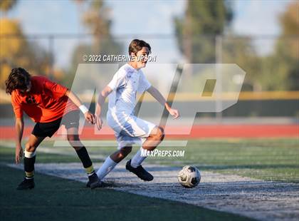 Thumbnail 2 in Paloma Valley @ Poly photogallery.