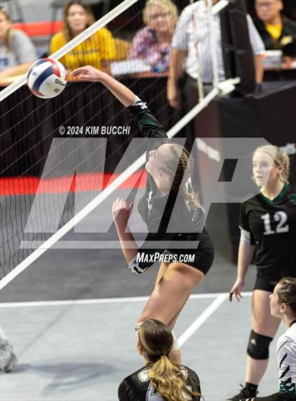 Thumbnail 3 in Philip Barbour vs. Wyoming East (WVSSAC Class AA Quarterfinal) photogallery.