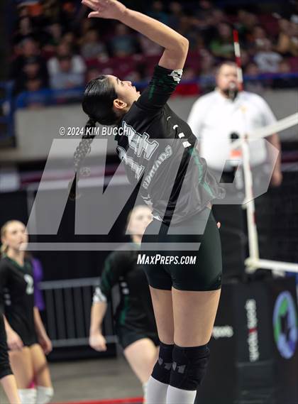 Thumbnail 2 in Philip Barbour vs. Wyoming East (WVSSAC Class AA Quarterfinal) photogallery.