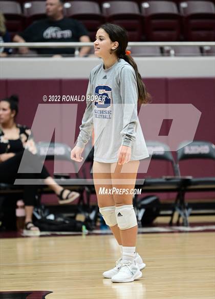 Thumbnail 1 in Sachse @ Wylie photogallery.