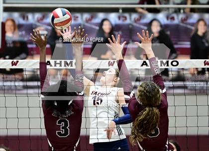 Thumbnail 3 in Sachse @ Wylie photogallery.