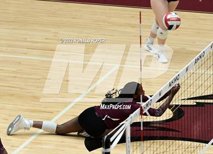 Thumbnail 3 in Sachse @ Wylie photogallery.